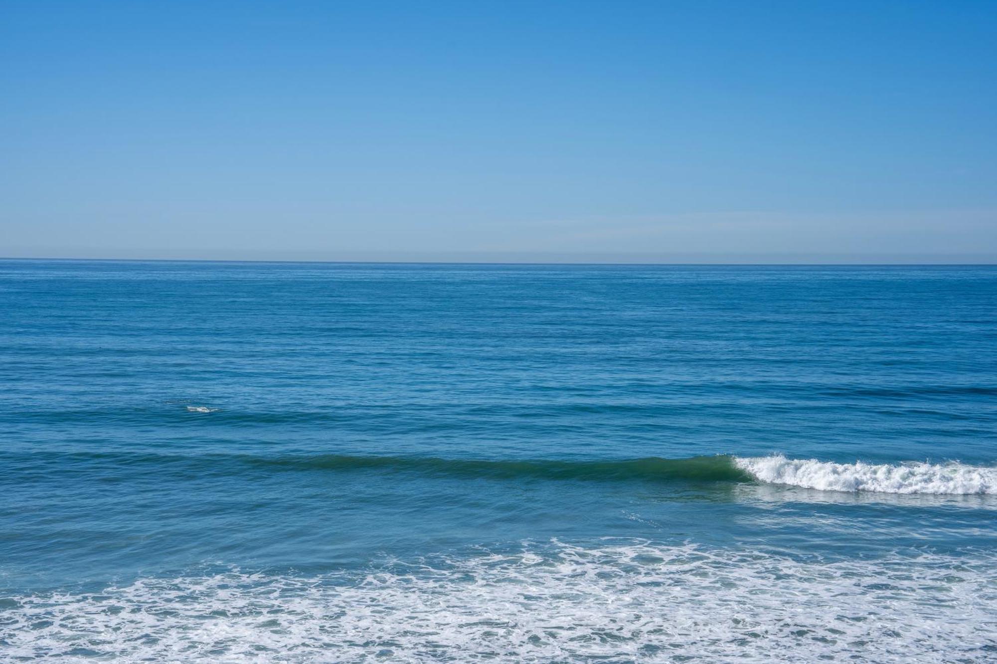 Beachfront Breathtaking 1 Bedroom Apt Tijuana Bagian luar foto